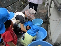 写真：じゃがいもあらい1