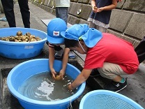 写真：じゃがいもあらい2