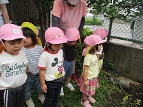 写真：じゃがいもほり8