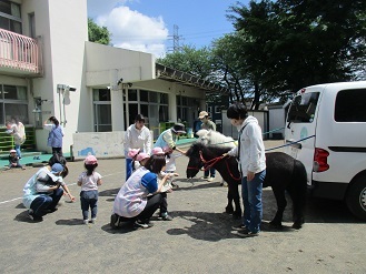 写真：リトルホースに干し草をあげている様子