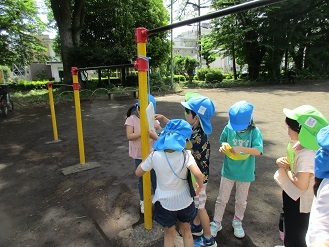 写真：4,5歳児が色探しゲームをしている様子