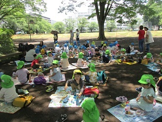 写真：4,5歳児が公園でお弁当を食べている様子