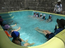 写真：プール4歳1