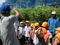 写真：ブルーベリーつみ2