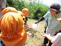 写真：ブルーベリーつみ7