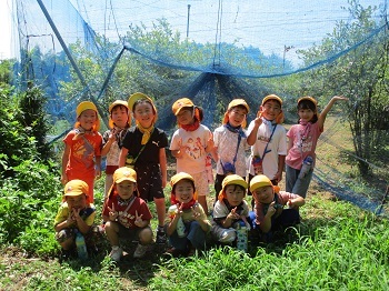 写真：ブルーベリーつみ集合