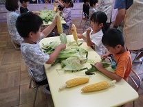 写真：トウモロコシの皮むき3
