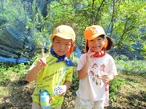 写真：ブルーベリーつみ14