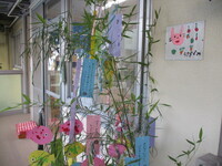 七夕の飾りの写真