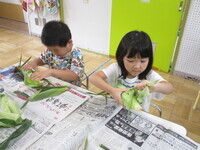 4歳児がとうもろこしの皮をむいている様子の写真