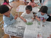 グリーンピースのさや剥きをしているところの写真