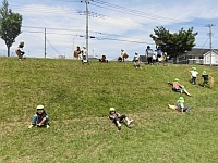 写真:上から下まで滑っている様子