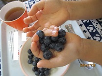 子どもの手の上にあるブルーベリーの写真
