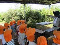 ブルーベリー摘みの説明を聞く子供の写真