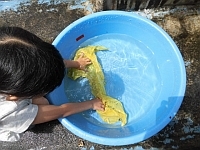 写真:布を洗っている様子