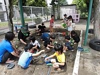 写真:5歳児泥んこ遊びの様子