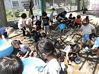 写真:4歳児の泥んこ遊びの様子