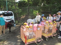 2歳児クラス記念撮影の写真