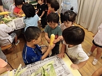 写真:むけたとうもろこしを触っているところ
