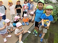 写真:他クラスが収穫の様子を見学したいるところ