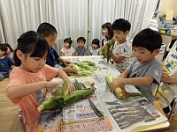 写真:5歳児のとうもろこし皮むきの様子