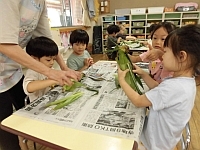 写真:4歳児のとうもろこし皮むきの様子