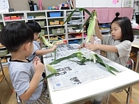 写真:皮むきを頑張っている子ども