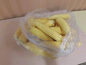 写真:皮をむいたとうもろこし