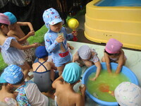 色水遊びをしている様子の写真