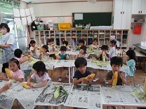 とうもろこしの皮をむく4歳児