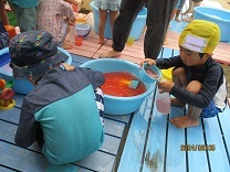 色水遊びを楽しむ子どもの写真