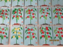 4歳児クラスの作品の写真