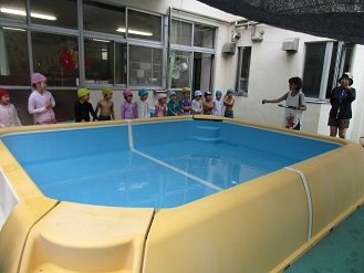 プール開きの5歳児の様子の写真