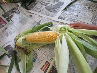 皮をむいた状態のとうもろこしの写真