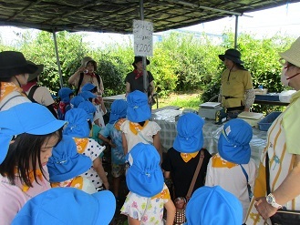 5歳児クラスがブルーベリー摘みのやり方などの説明を聞いている様子の写真