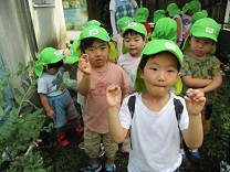 写真：ブルーベリー3