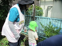 写真：ブルーベリー4