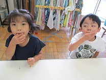 写真：ブルーベリー9