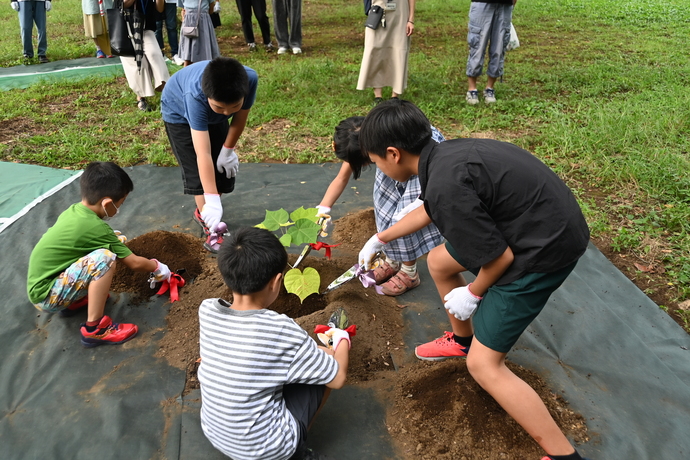 写真:派遣生による 植樹