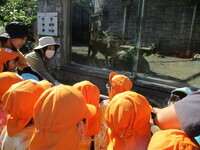 チーターを見ている子ども達の写真