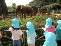 像を見ている様子の写真