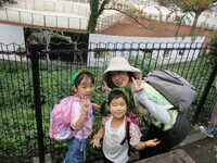 きりんを見ている写真