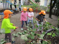 弦を引いている様子の写真