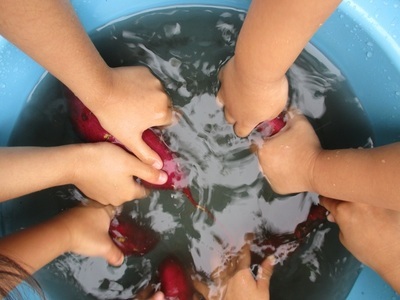 芋洗いの様子の写真