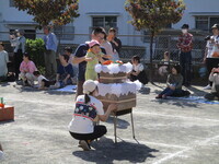 1歳児クラスが競技している様子の写真