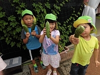 写真:収穫したゴーヤを見せる子どもたち