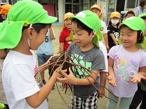 写真：芋ほり11