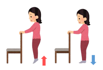 (画像)かかとを上げたりおろしたりする