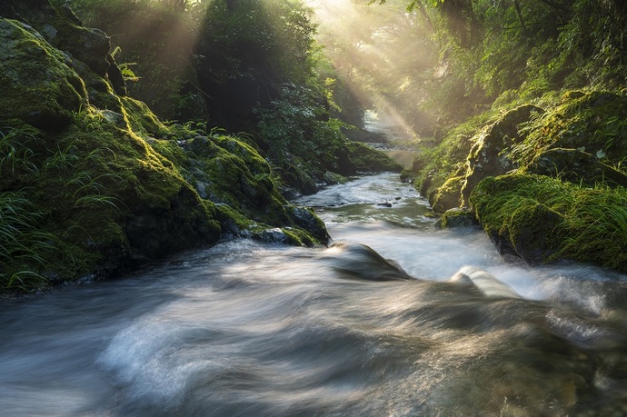 写真:『水と光の共演』