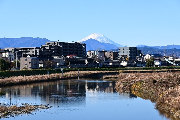 写真:『鏡のように光輝く浅川』